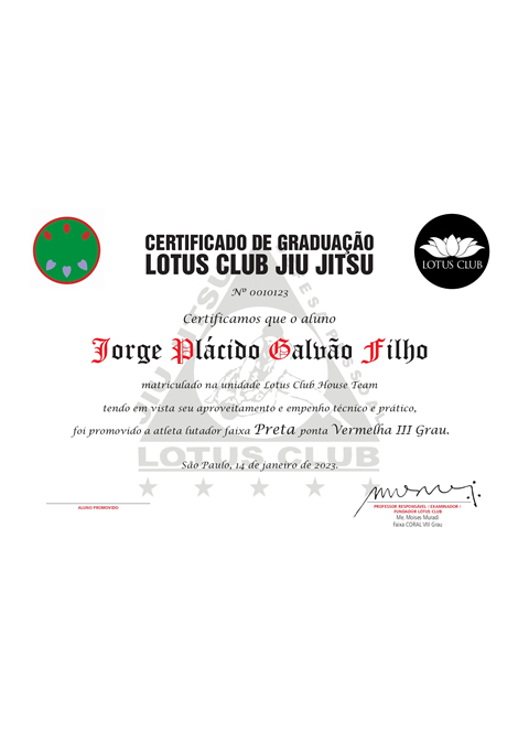 Certificado 2